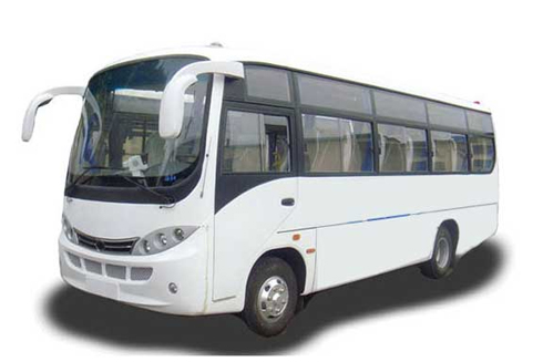 Luxury Coaches